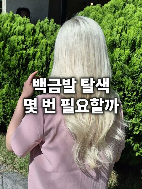 백금발 탈색 시술 사진 - 백금발 탈색 몇 번 필요할까
